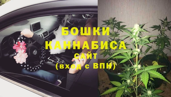 хмурый Елизово
