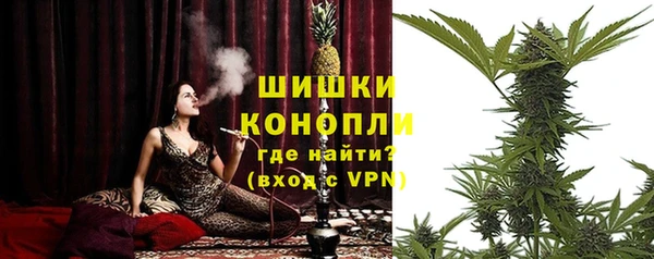 хмурый Елизово