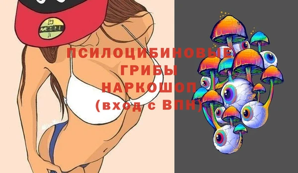 а пвп мука Ельня