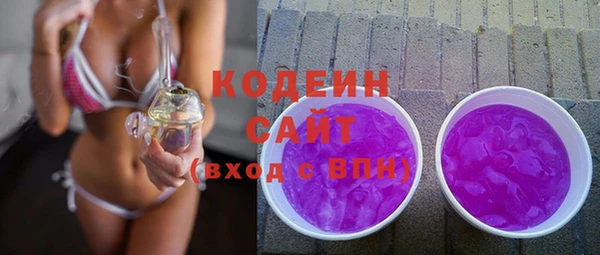 хмурый Елизово