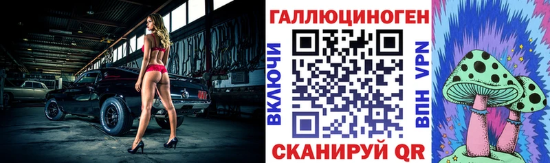 наркота  Приозерск  Галлюциногенные грибы Psilocybine cubensis 
